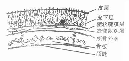 58001.jpg (21122 字节)