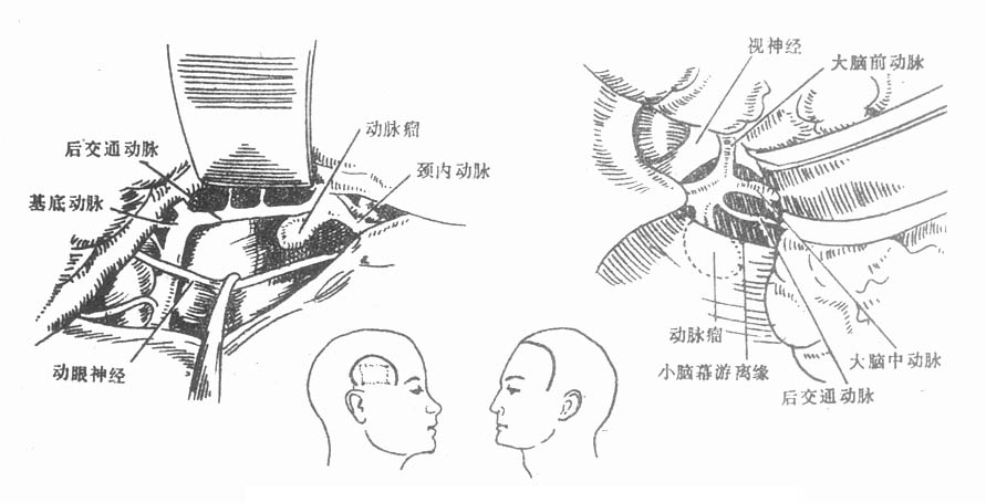 61901.jpg (56978 字节)