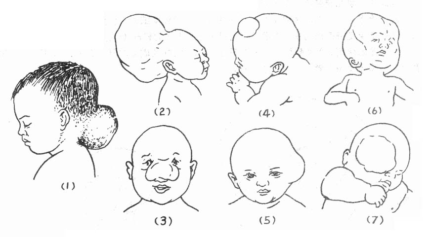 63201.jpg (49038 �ֽ�)