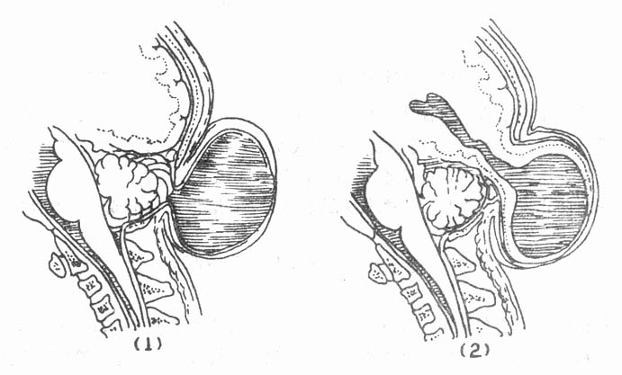 63202.jpg (48949 �ֽ�)