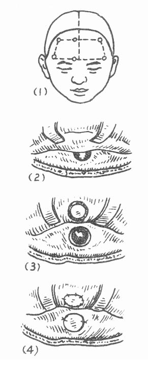 63301.jpg (37517 �ֽ�)