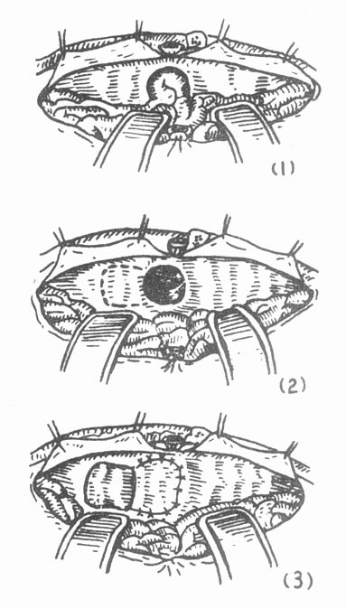 63302.jpg (53468 �ֽ�)