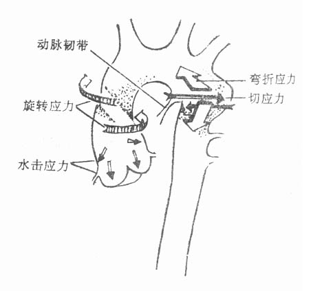 65201.jpg (21286 字节)