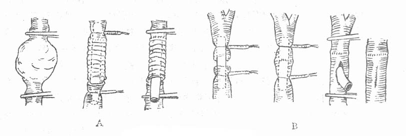 65302.jpg (29064 字节)
