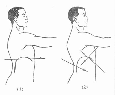 65401.jpg (15004 字节)