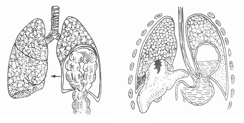 65501.jpg (76078 字节)