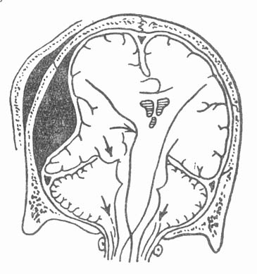 59002.jpg (34044 字节)