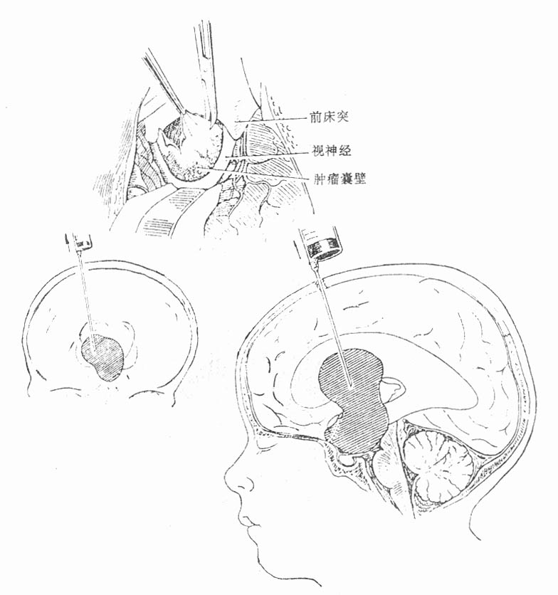 61601.jpg (66742 字节)