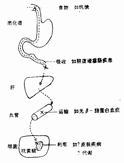 11301.jpg (31958 字节)