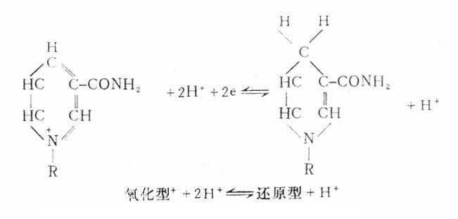 11901.jpg (16721 字节)