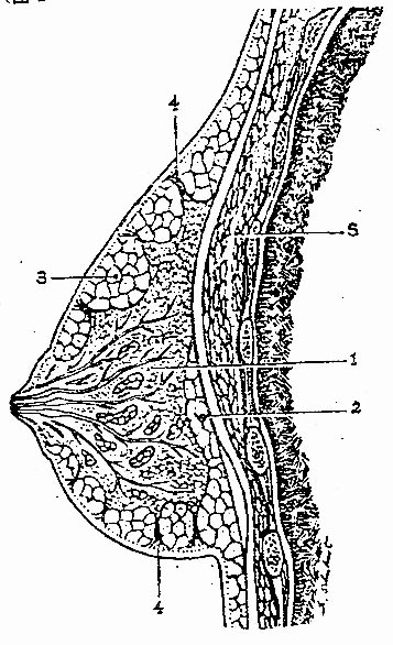 19701.jpg (84744 字节)
