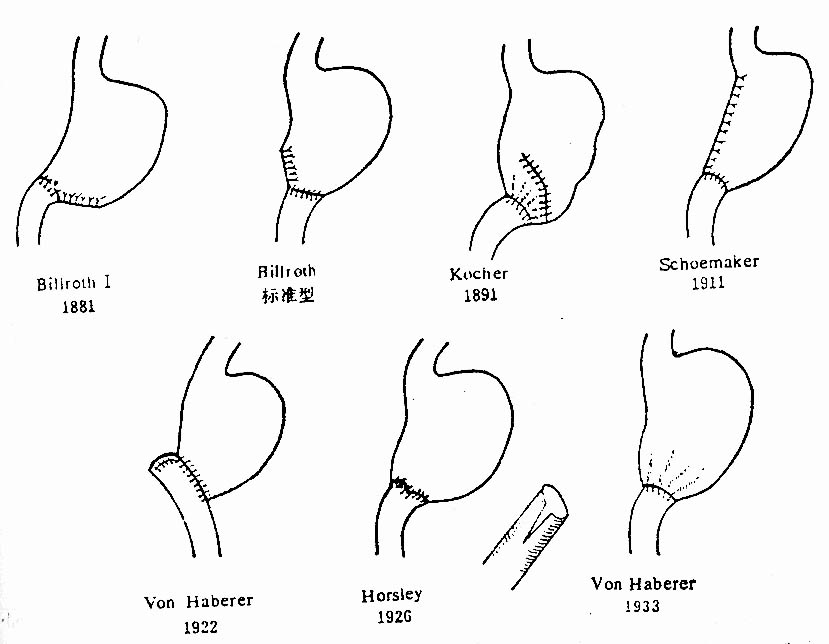 24502.jpg (55607 字节)