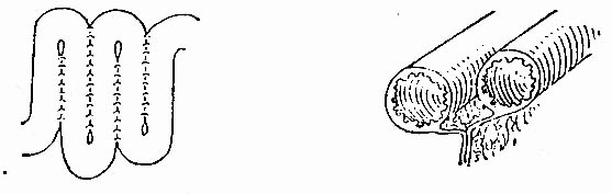 27401.jpg (21129 字节)
