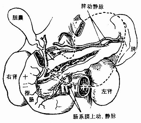 29001.jpg (65870 字节)
