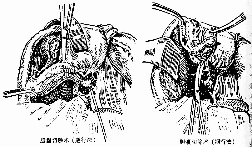 29801.jpg (147078 字节)