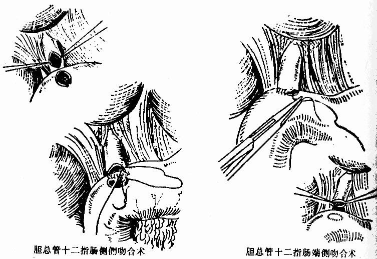 30001.jpg (118625 字节)