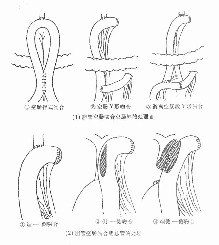 30101.jpg (70494 字节)