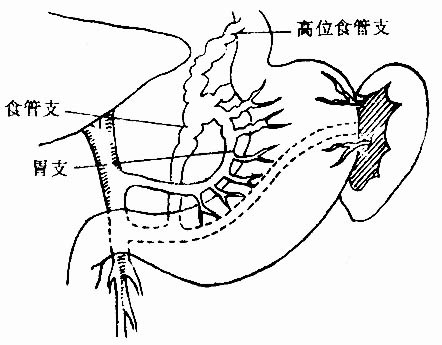 31701.jpg (38907 字节)