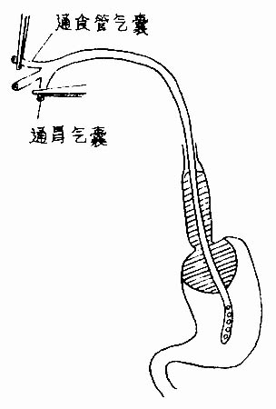 31703.jpg (21822 字节)