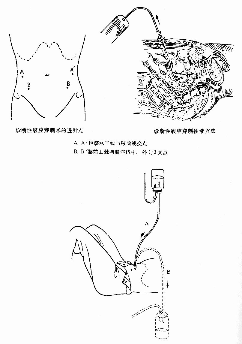 33001.jpg (113921 字节)