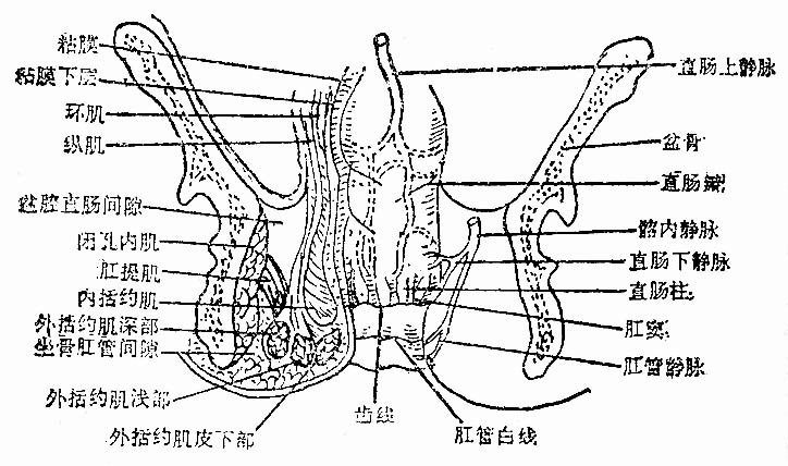 34801.jpg (96151 字节)