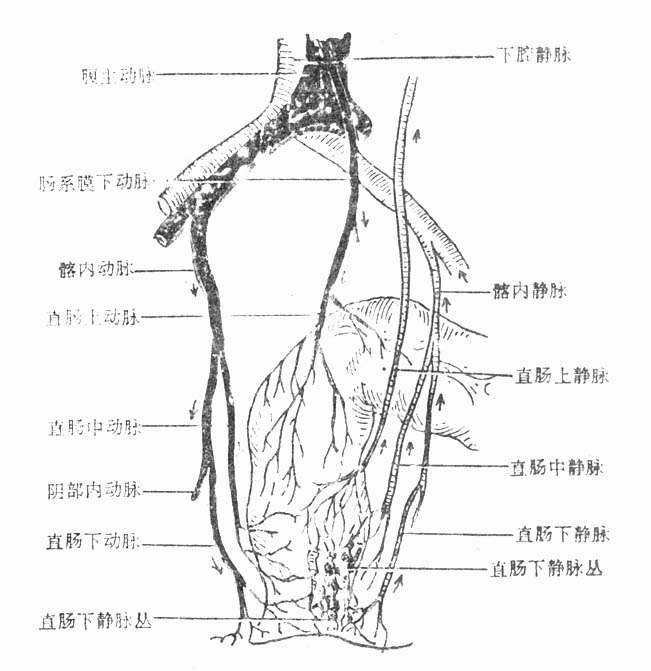 34901.jpg (61109 字节)