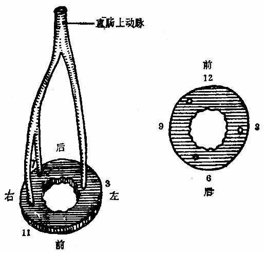 35001.jpg (45221 字节)