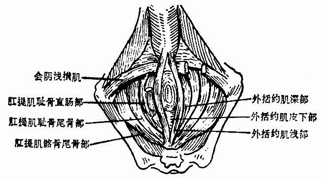 ͼ2-98 ἡ