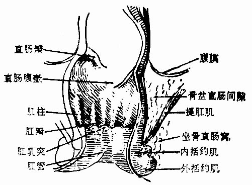 jpg (55059 字节)