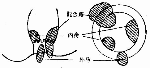 35902.jpg (30184 字节)