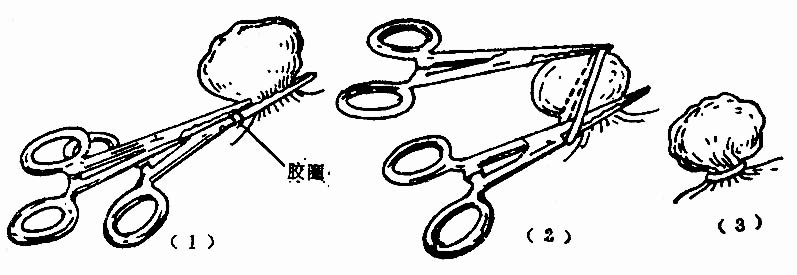 36202.jpg (48860 字节)