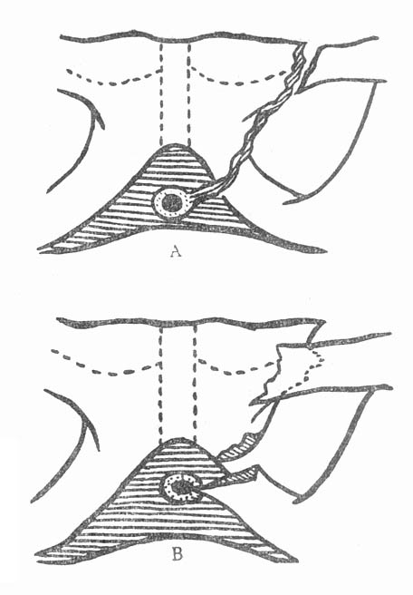 71802.jpg (39422 ֽ)