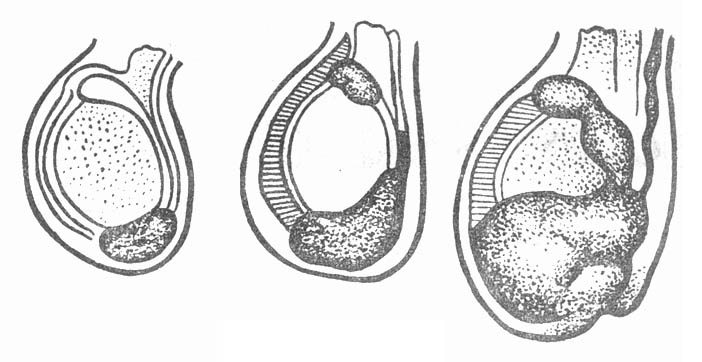 73401.jpg (50912 �ֽ�)