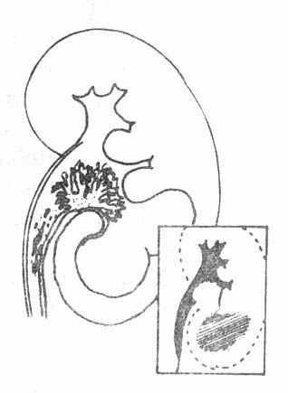 74801.jpg (20190 字节)